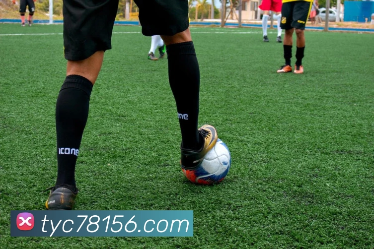 澳门太阳城平台生态图