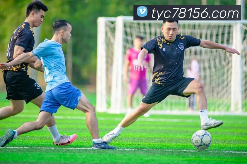 澳门太阳城APP 封面图